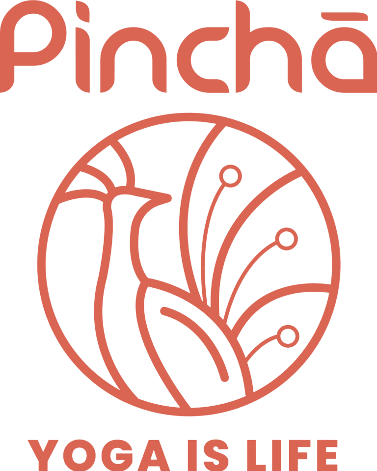 Pincha